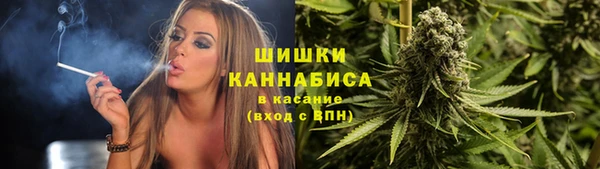 гашик Иннополис