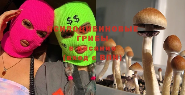 круглые Инсар