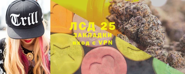 гашик Елизово