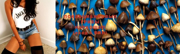 гашик Иннополис